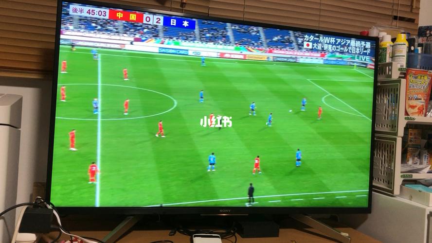 国足vs日本直播在哪看